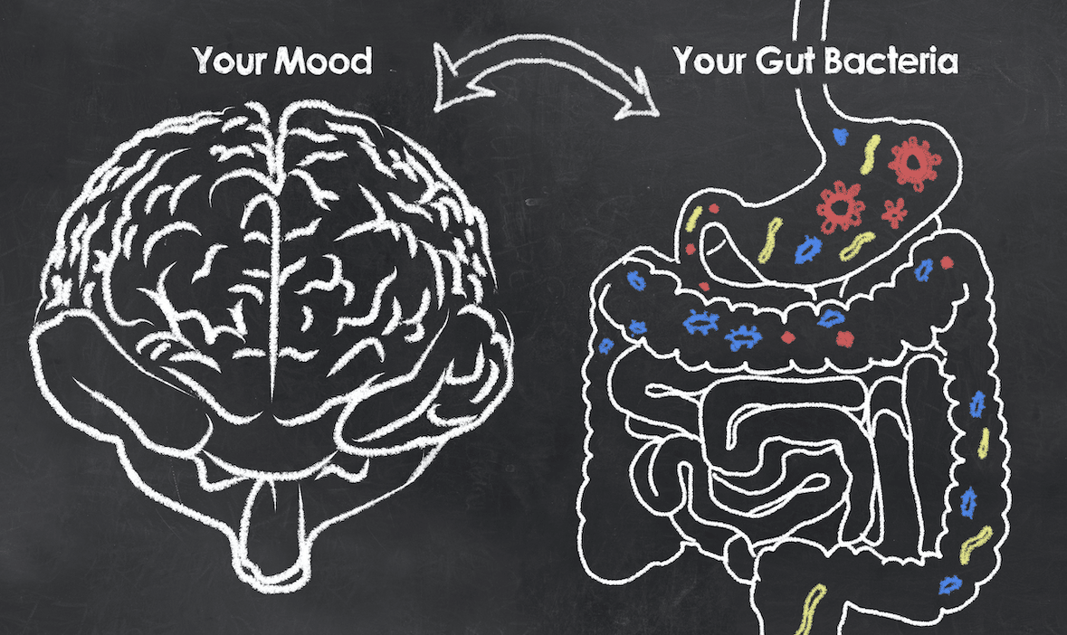 The Connection Between Your Gut Health And Your Brain