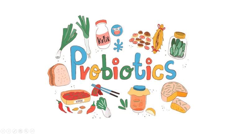 probiotics use with antibiotics